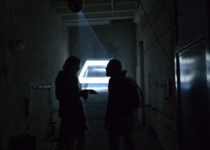 Pastoral by Geso | Audiovisual Installation / Video Art / Art Installation
