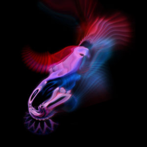 Krake I by Geso | Audioreactive Visuals / Digital Art / Graphic Art