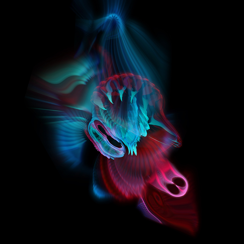 Krake I by Geso | Audioreactive Visuals / Digital Art / Graphic Art