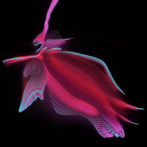 Krake I by Geso | Audioreactive Visuals / Digital Art / Graphic Art