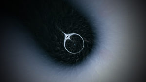 Black Infinity Live AV by Geso and Hz