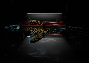 3D Art Experiments by Geso 2020