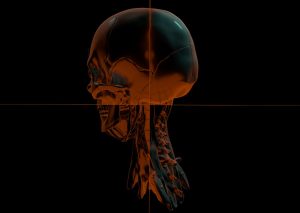 Cover Artwork for Full Frontal Lunacy album from Vexillary, artwork and design by Geso / God Is A Glitch