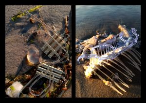 3D Artworks by Geso / God Is A Glitch
