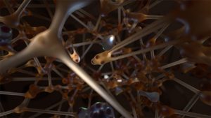 Lamella 3D Scene