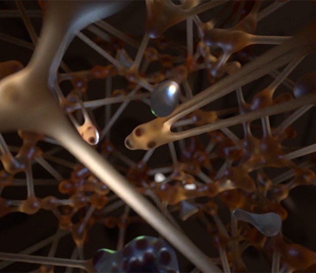 Lamella 3D Scene