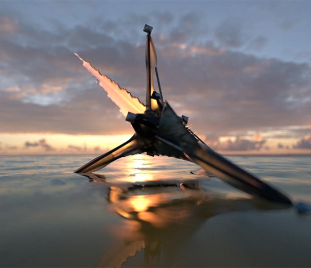 Sea Wish Entity