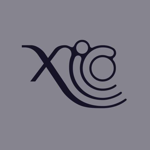 Xico Logo