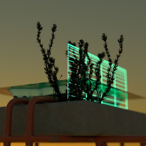 Xico_sys01