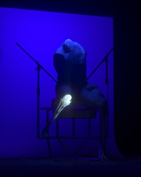 Healing_0012