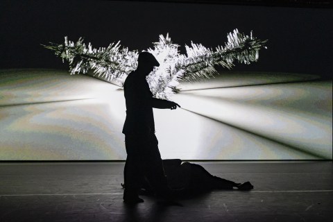 Amigo Performance